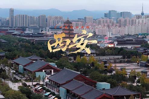 《食养江湖》西安站：刘奕君解密碳水食养，中国劲酒解锁古都“烟火+温润”智慧