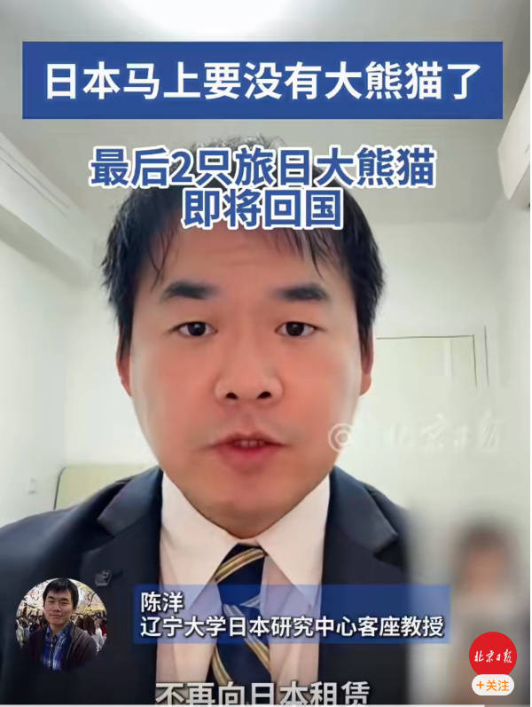 日本马上要没有大熊猫了！最后2只旅日大熊猫即将回国