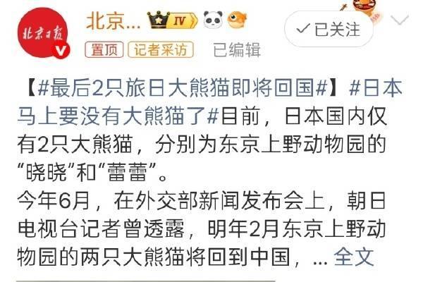 日本马上要没有大熊猫了！最后2只旅日大熊猫即将回国