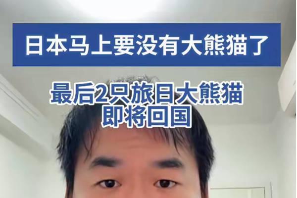 日本马上要没有大熊猫了！最后2只旅日大熊猫即将回国