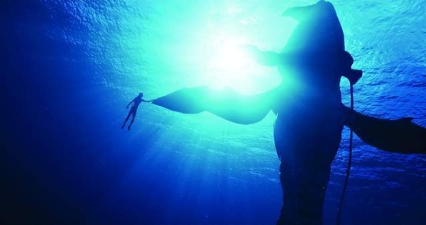 阿凡达3豆瓣开分7.6：好莱坞技术光环褪去，审美疲劳来袭，无解