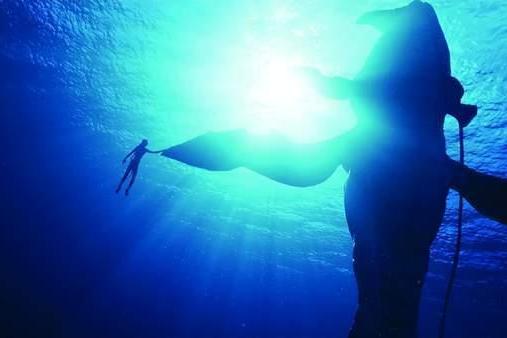 阿凡达3豆瓣开分7.6：好莱坞技术光环褪去，审美疲劳来袭，无解