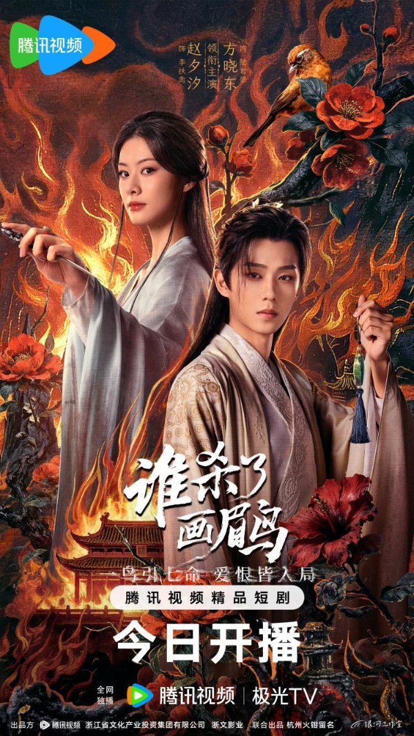 画眉鸟开播包版（竖版无二维码）