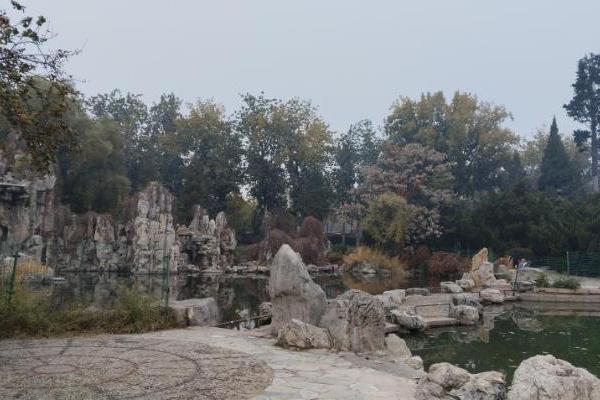 《书画里的中国》第三季：付闻博妙笔凝秋韵，龙潭景致入画来