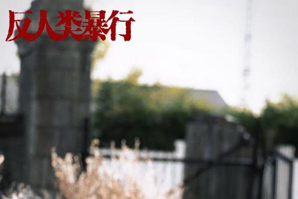 韩静《反人类暴行》收官 徐桂芬诠释女性力量 中生代新面孔演技获赞