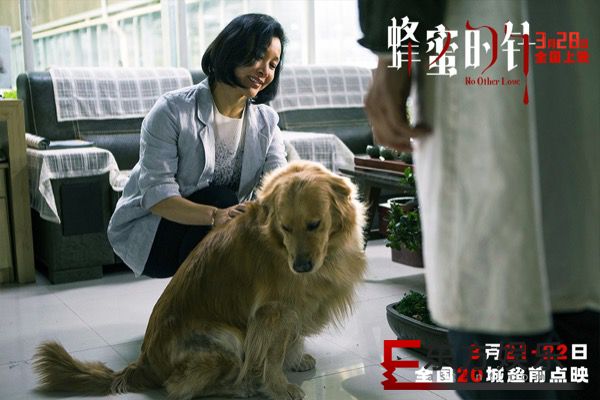 女性犯罪爽片《蜂蜜的针》定档3月28日 袁泉毁容式演绎致命女人