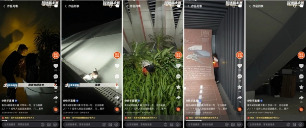 国民级游戏开启新玩法，快手「捉迷藏大赛」解锁娱乐赛事新范式