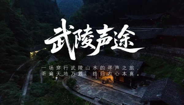 《硒望星球》超级演唱会总导演徐峰：探索演唱会全新表达，解密《硒望星球》出圈密码