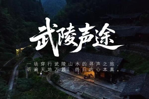 《硒望星球》超级演唱会总导演徐峰：探索演唱会全新表达，解密《硒望星球》出圈密码