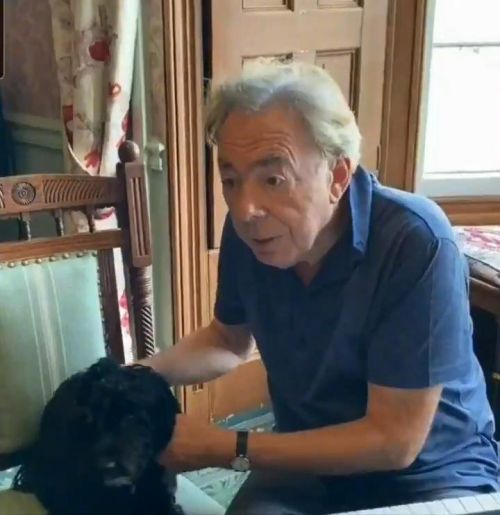 《猫》音乐剧作者安德鲁·洛伊德·韦伯：被电影版伤到买了一条狗