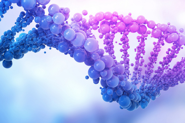 迄今最全面人类基因组测序完成：新增了2亿个碱基对和2000多个基因