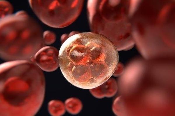 科学家开发出一种含硅纳米线芯片，能无创诊断胎盘疾病