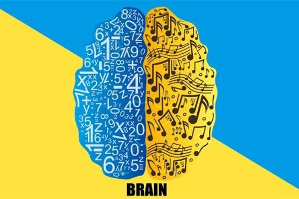 几十年坚信不移的理论可能大错特错！新研究表明大脑处理听觉和语言是并行的