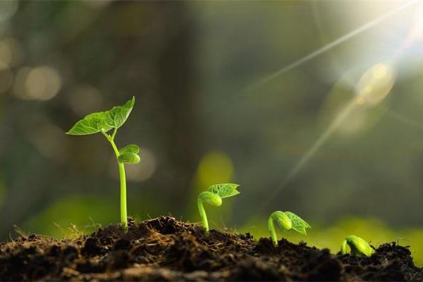 新突破！科学家开发出产生可见光的新方法 