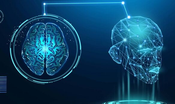 人工智能避免成“人工智障”，关键或许还在人类大脑中！