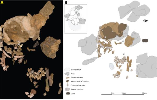 新发现！10000年前欧洲最古老女婴墓葬：有精美的贝壳珠子做装饰_产经_前瞻经济学人
