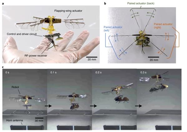 丰田研发“mini昆虫”飞行器，质量仅1.8克_产经_前瞻经济学人