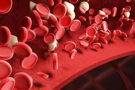 人工血小板|新一代人工血小板：可快速形成稳定血凝块，减少外伤出血量
