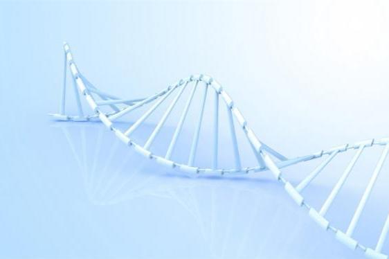 DNA|科学家发现了保护DNA的新机制，或可设计出新的癌症疗法
