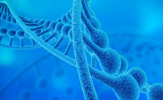 RNA分子可控制癌细胞中的DNA修复_产经_前瞻经济学人