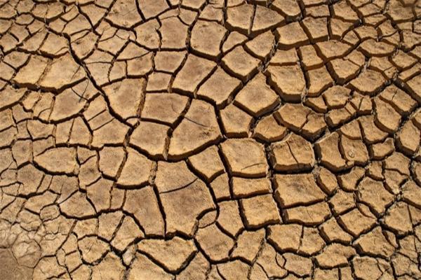 研究发现：美国西部特大干旱，是1200年以来最严重的一次