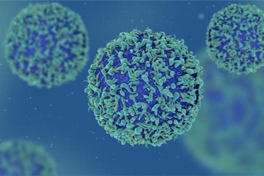 达里奥警告！50%白领工作将在5年内消失？