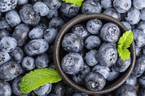 再添益处！最新研究：常吃蓝莓，或能降低患老年痴呆症风险