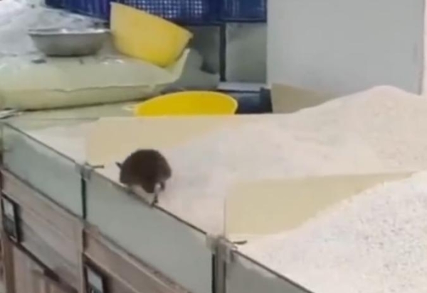 永辉超市被曝老鼠在大米上爬 涉事门店去年5月曾因销售不合格产品被罚