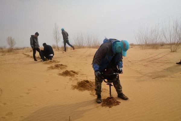 沙尘天气再次来袭，库布其治沙人在行动