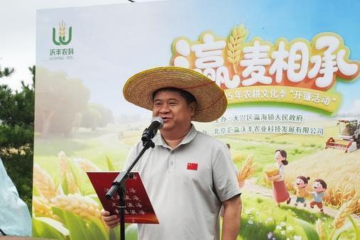 北京大兴瀛海镇“瀛”麦相承小麦丰收开镰 奏响农文旅融合新乐章