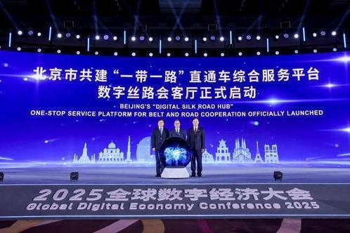 扬帆出海，一起大兴 2025全球数字经济大会“数字经济出海国际合作论坛”在京召开