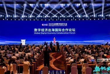 扬帆出海，一起大兴 2025全球数字经济大会“数字经济出海国际合作论坛”在京召开