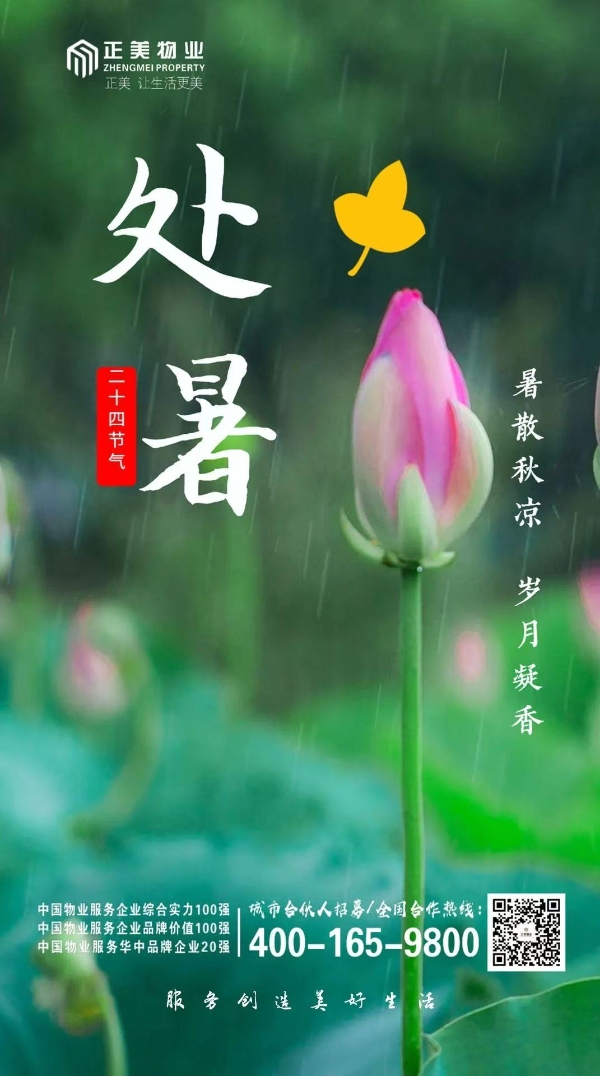 票选丨暑散风清！2025年处暑物业官宣海报大赏