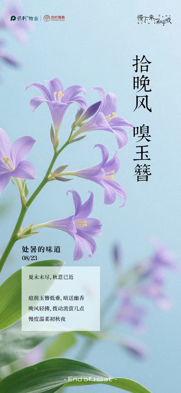 票选丨暑散风清！2025年处暑物业官宣海报大赏