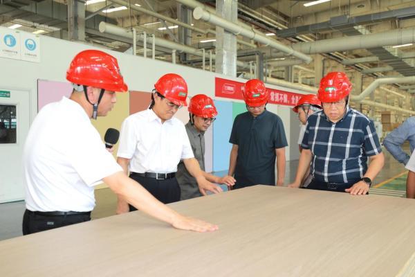 推动家居新材料技术革新！三棵树“实木水漆板”获评“国际领先”