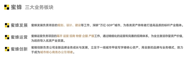 十年节点启新篇：蜜蜂公司官宣多品牌战略，BEEPLUS定位子品牌
