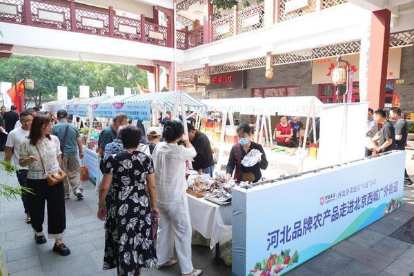 河北净菜进京 两地客商达成近千万意向采购
