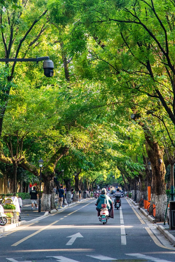 五项目入选全国城市更新典型案例：金螳螂的城市更新“进化”之道