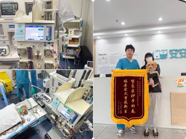 新瑞鹏斩获“2025年度卓越影响力品牌奖” 以硬核实力引领宠物医疗