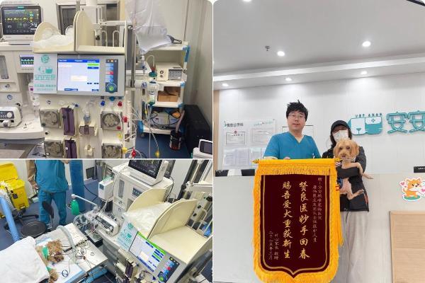 新瑞鹏斩获“2025年度卓越影响力品牌奖” 以硬核实力引领宠物医疗 