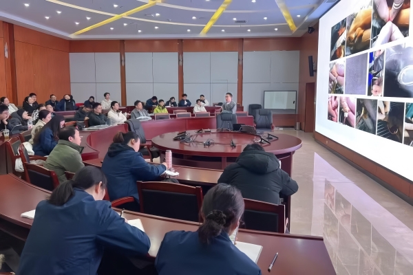 第十四期爱猫医生成长训练营收官 新瑞鹏以人才培养夯实猫科建设 