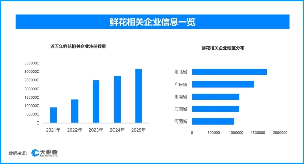 情感消费新主场：从仪式感到幸福感，母亲节产业的价值升维