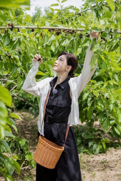 央视一套《山水间的家》走进北京大兴安定镇 探寻京南小镇的独特魅力