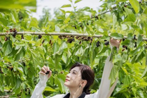 央视一套《山水间的家》走进北京大兴安定镇 探寻京南小镇的独特魅力
