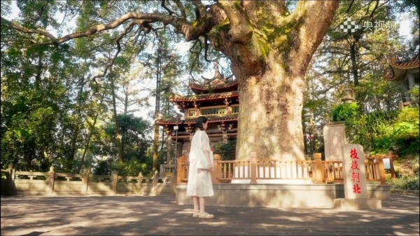 《清水故香》首播：金牌家居以“短剧+”讲述文化传承，打造家居品牌传播新样本