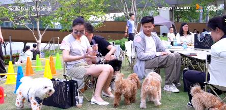 国内首个！SKPF宠届村超，定义宠物友好社区新范式