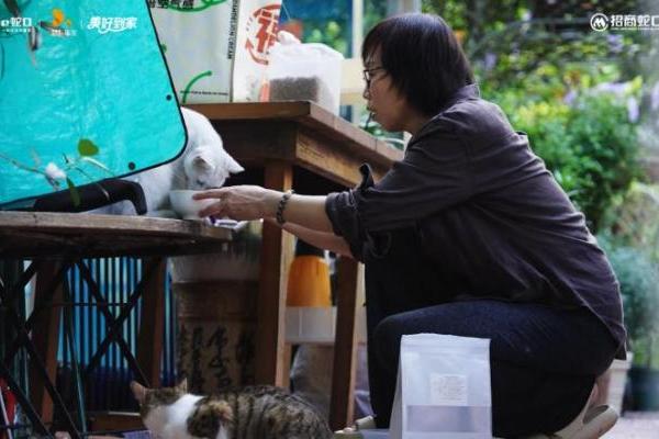 国内首个！SKPF宠届村超，定义宠物友好社区新范式