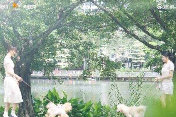 国内首个！SKPF宠届村超，定义宠物友好社区新范式