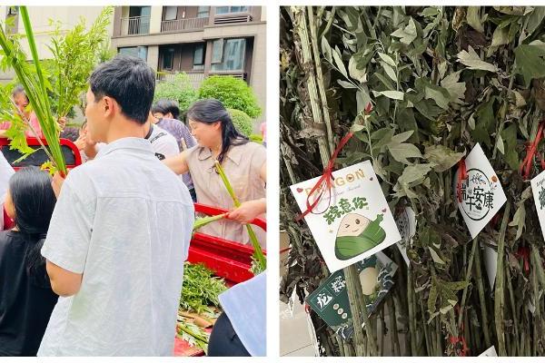 金地智慧服务在江西|端午活动图鉴，每一帧都是温情