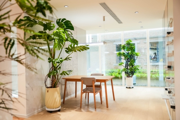 北京日本进口建材体验馆开业，日式居住体系布局华北市场